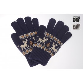 Mens Nordic Glove 05